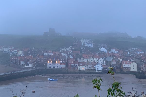 View of Whitby from bench 