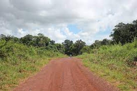 Outamba-Kilimi National Park