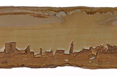 The Rare Stone Whose Markings Resemble City Skylines