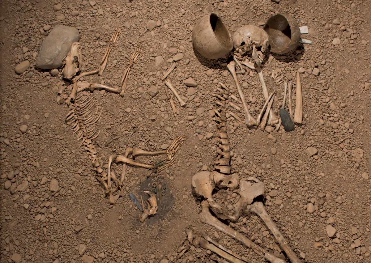 The family buried at Bergsgraven, as displayed at the Östergötlands Museum, includes the family dog. They were buried with pots and other items.