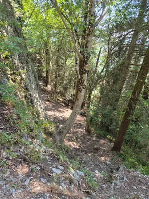 Post image 5