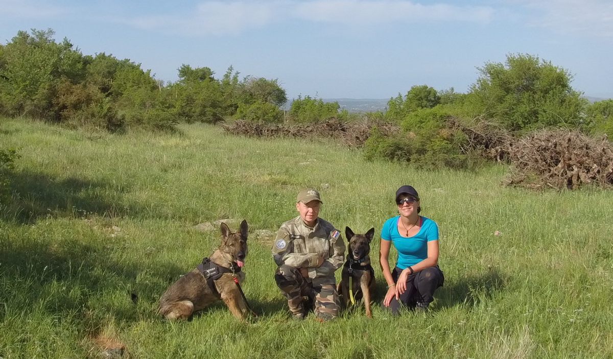 Archaeologist Vedrana Glavaš (right) is partnering with Andrea Pintar (left) to train dogs Arwen (left) and Panda (right) to identify human remains from centuries past.