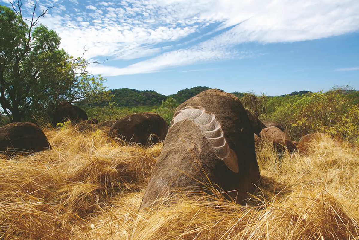 Mitsuaki's “Grub” carving, in one of the boulders around Mount Bundey.