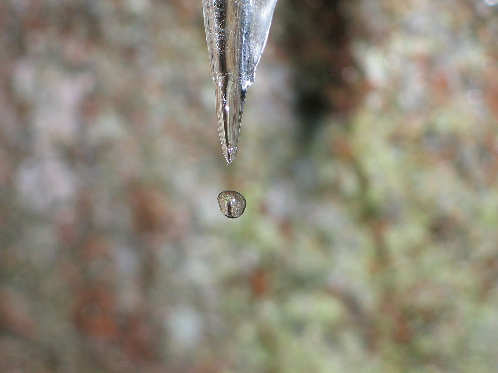 Water demonstrates a few of its unique properties.