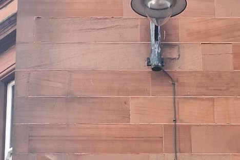 'Chookie Birdies'