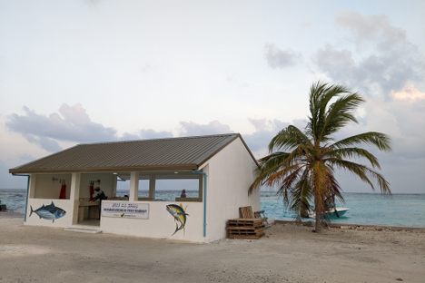 Dharavandhoo Fish Market at dusk.