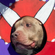 estorm profile photo