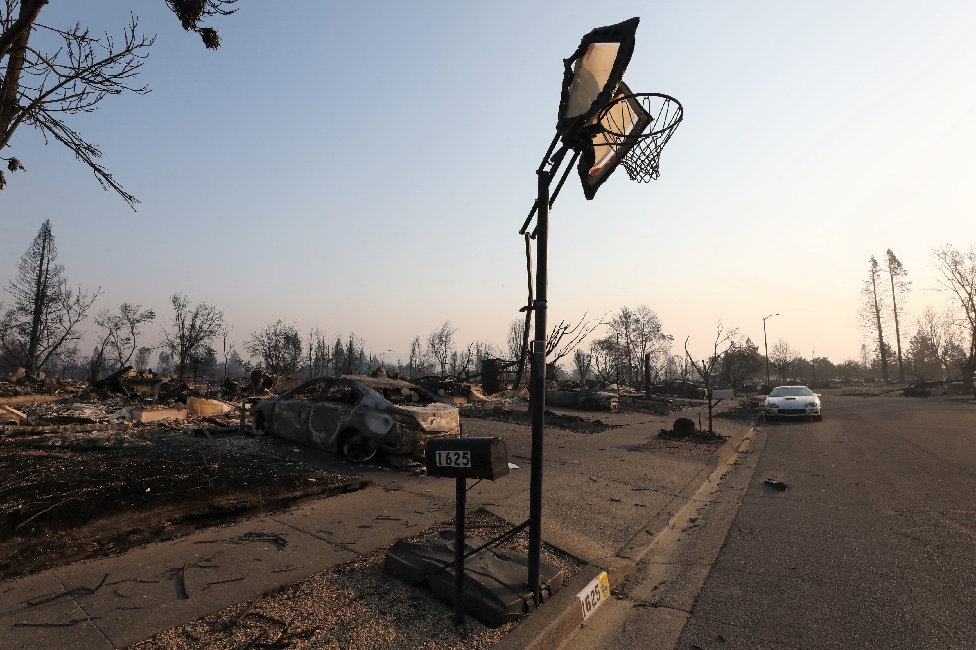 Temporary housing (for both people and animals) is in high demand as wildfires continue to sweep through the American West.