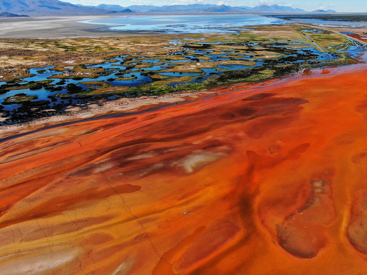 The muddy shores of Lake Uru Uru in Bolivia are awash in the colors of a bright sunset, a sign of the lake's dire straits.
