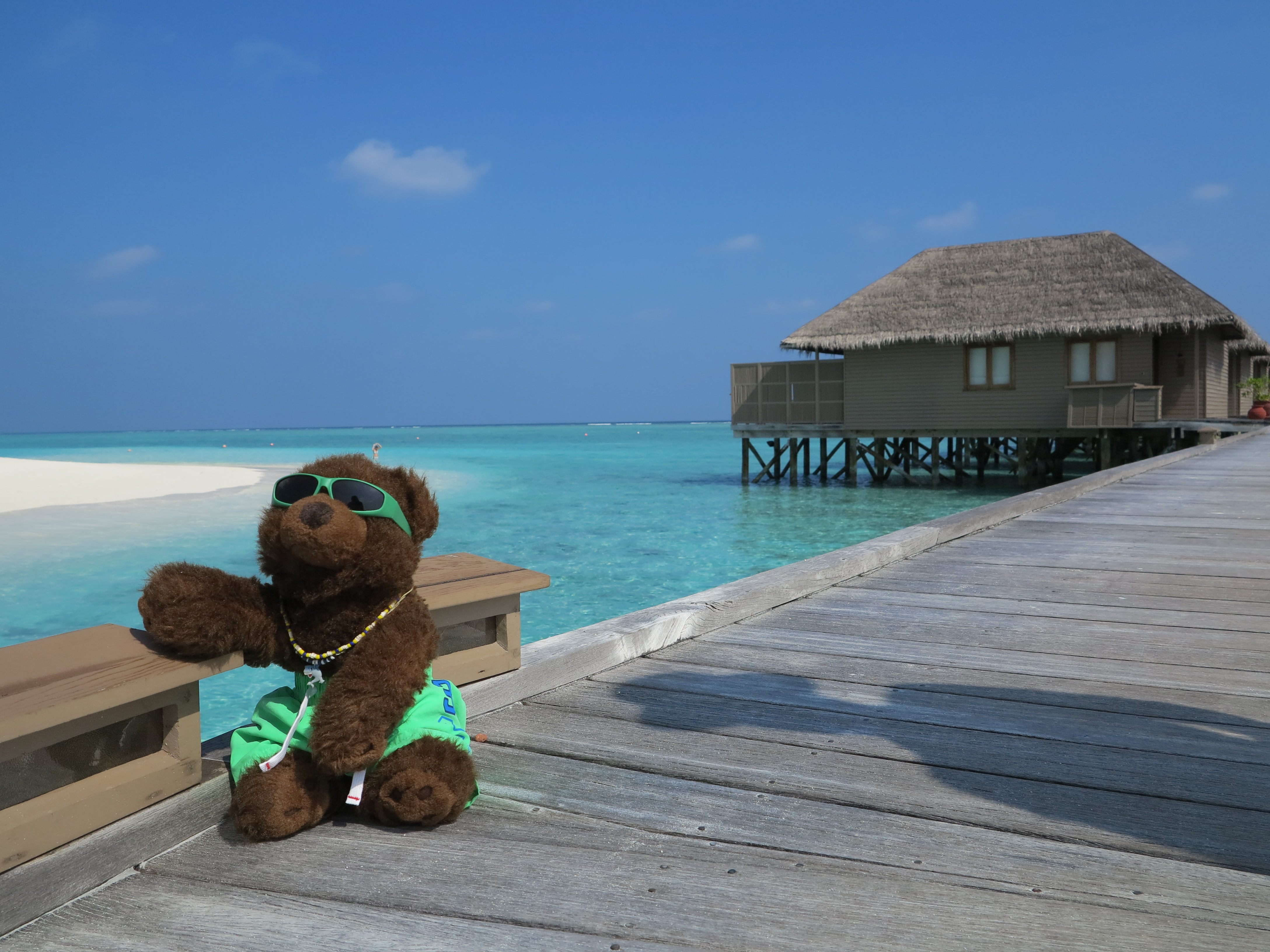 This is beach yoga, baby' Teddy Bear