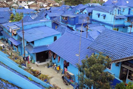 Kampung Biru Arema.
