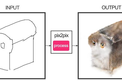 Help This Computer Program Draw the World's Freakiest Felines
