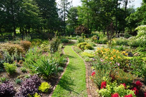 Trail through rose bushes.