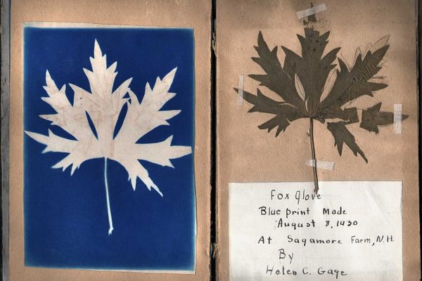 Sir John Herschel, a British chemist and astronomer, invented the cyanotype process in 1842.