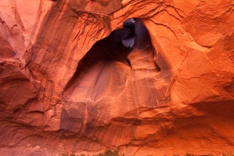 The Golden Cathedral, Neon Canyon