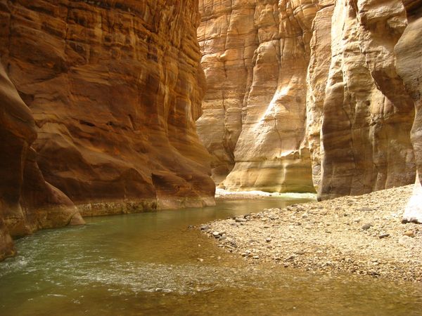 Response trail jordan 2025