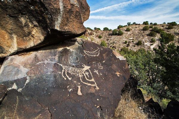 One of the many petroglyphs at the Mesa Prieta site