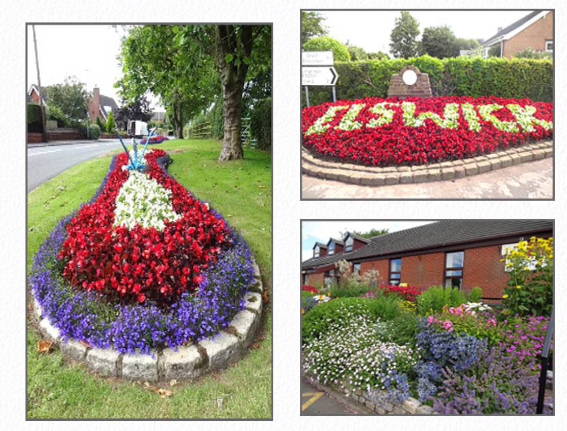 A selection of Elswick's winning floral displays.