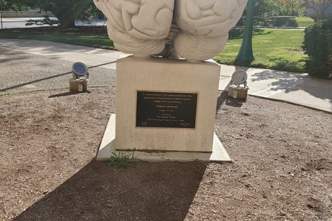 Brain Sculpture