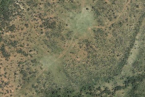 Two former dung heaps, now beautiful grassy ovals.
