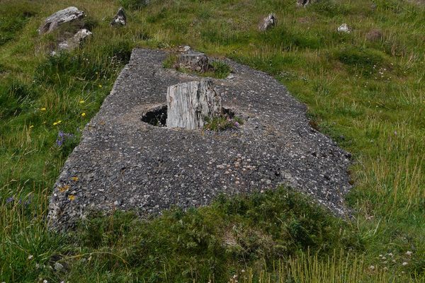 ‘Wicker Man’ Stumps