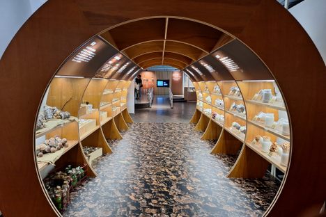 Wufeng Mushroom Museum 