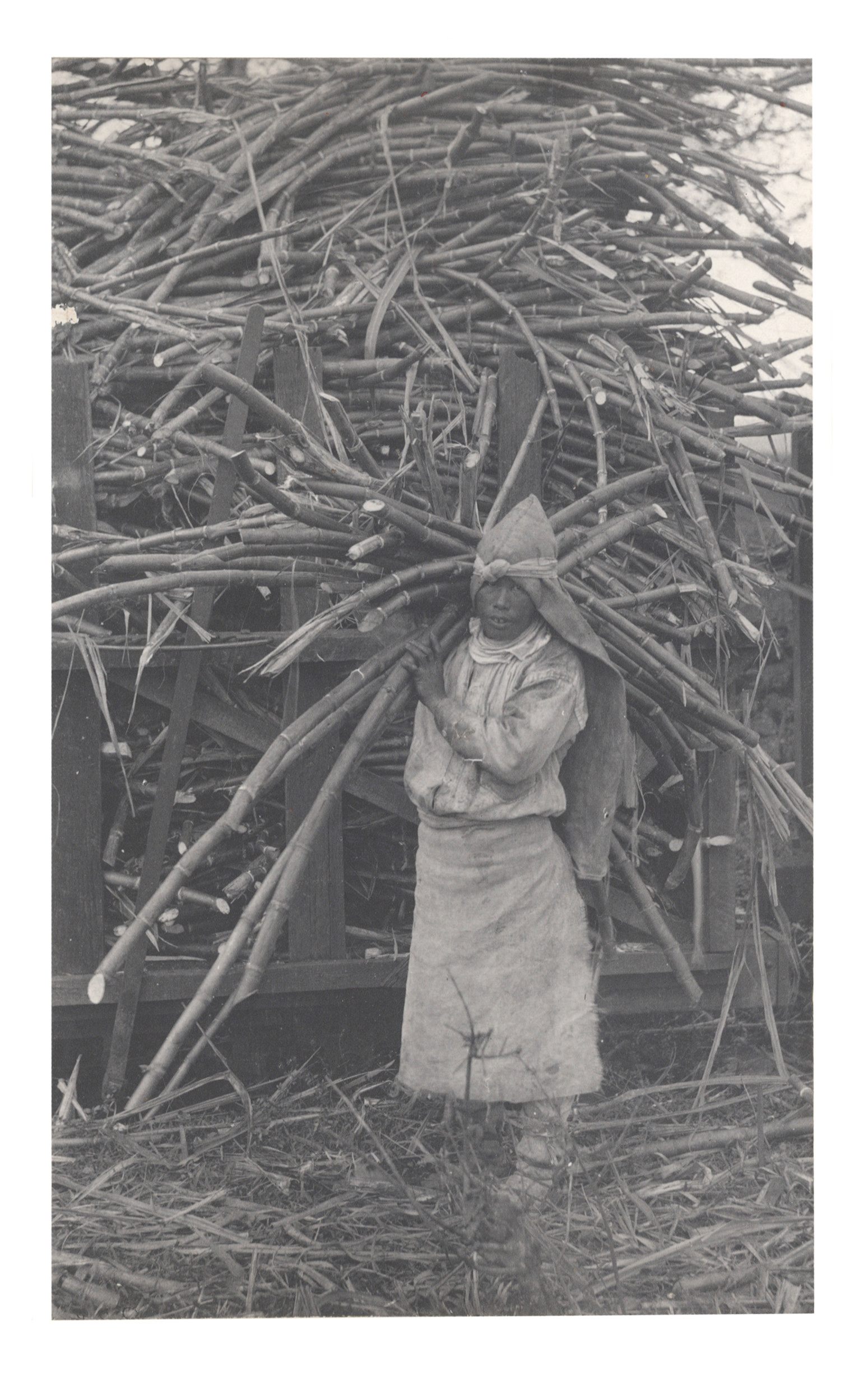 A worker in Hawai'i.