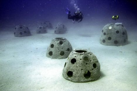 A reef ball graveyard beneath the waves.