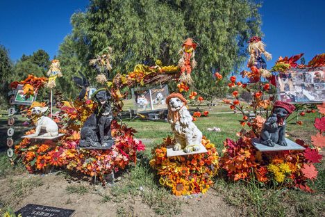The Los Angeles Pet Memorial Park and Crematorium.