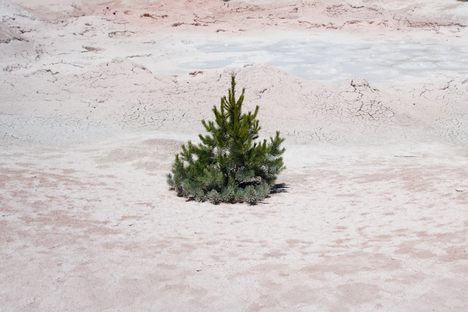 Death by Pink: When Nature's Most Cloying Color Spells Doom
