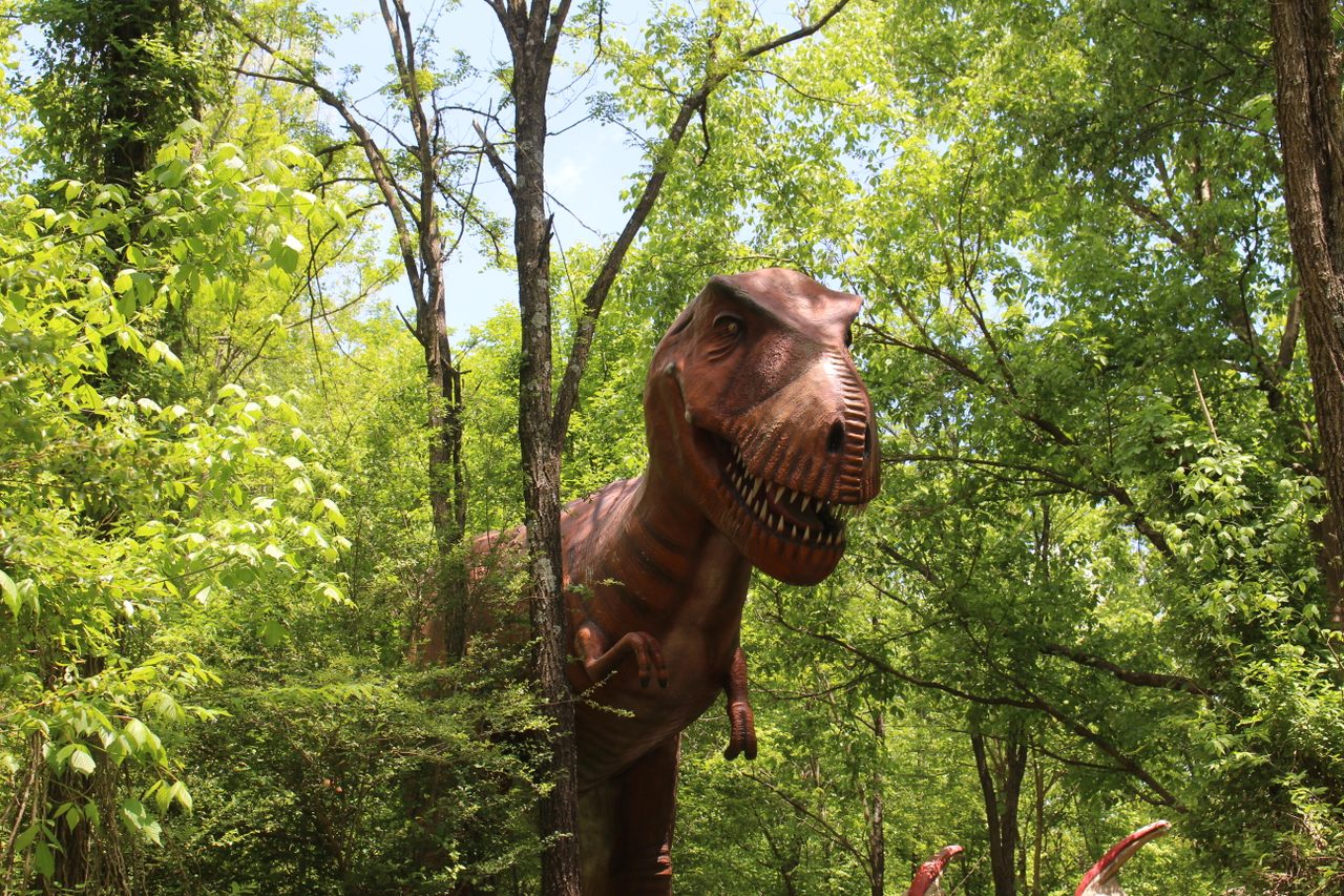 一个巨大的< em >霸王龙< / em >站在州际洞穴外的城市,肯塔基州,让行人知道恐龙世界不远。