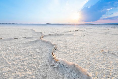 Larnaca Salt Lake, dry.