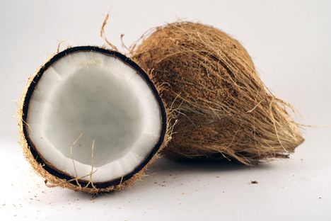 A coconut, hopefully not cursed. 