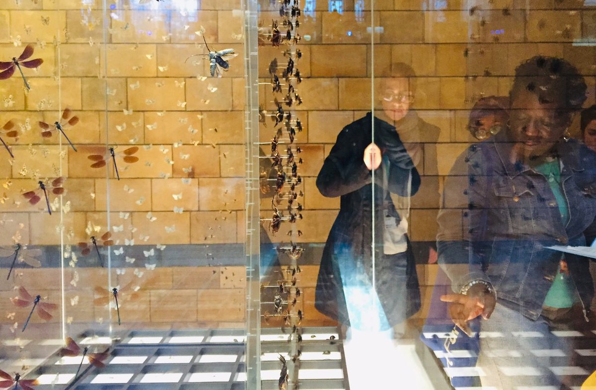 Miranda Lowe (right) on her self-designed tour spotlighting the contributions of black and indigenous people to the Natural History Museum.