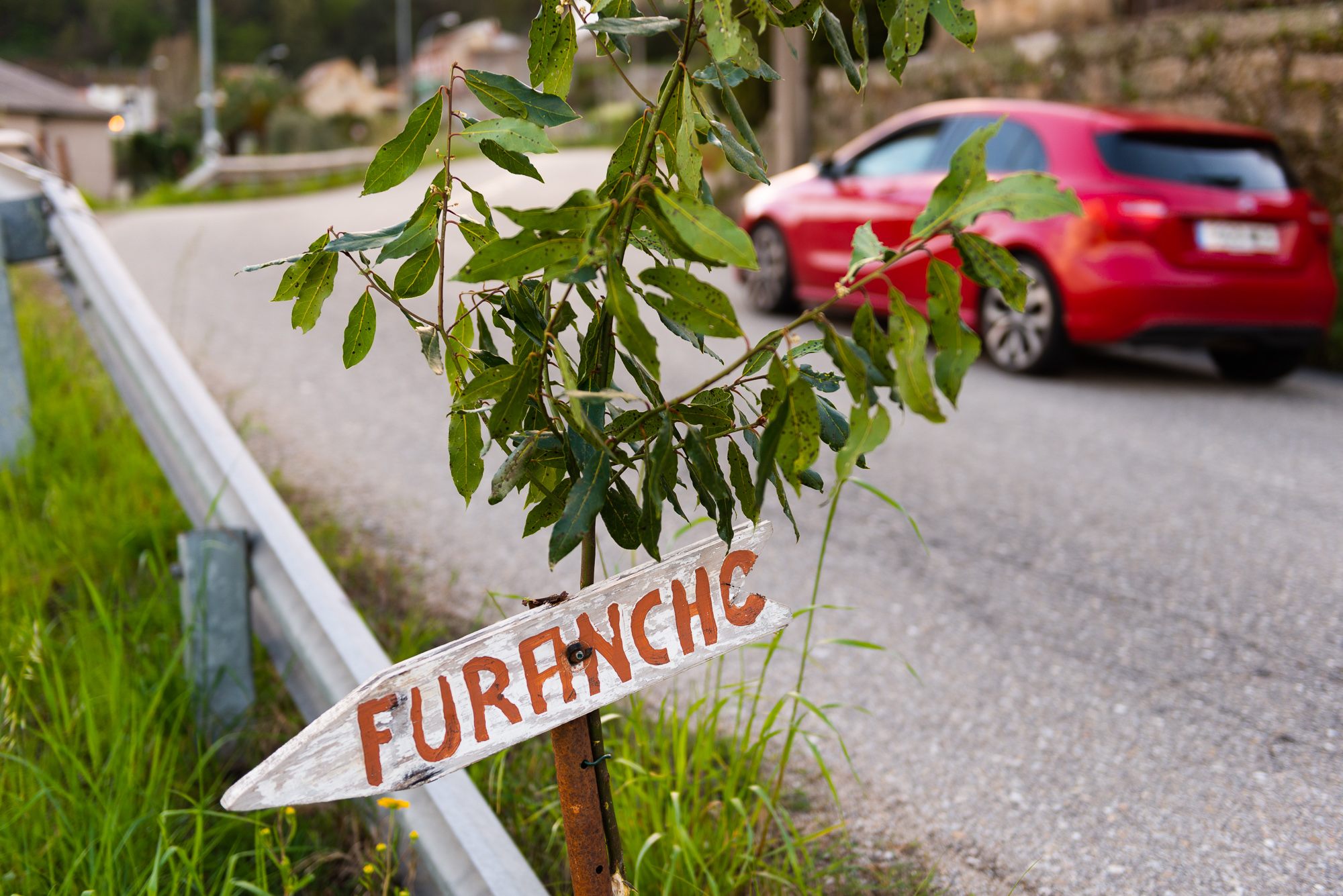 A sign and bay-leaf branch indicating where to find a furancho.
