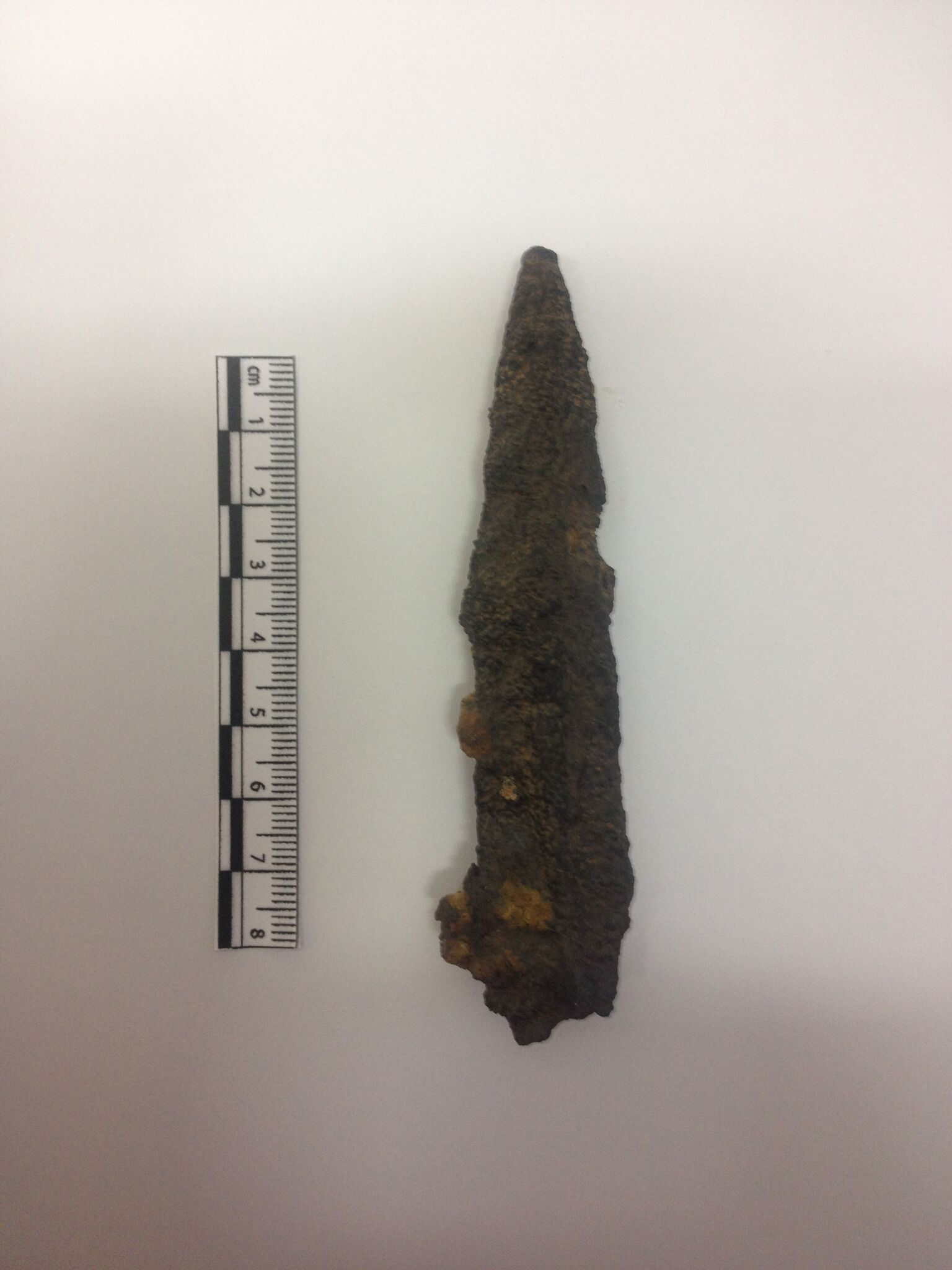 The tip of a Roman javelin, called a <em>pilum</em>, found at the Ebbsfleet site.