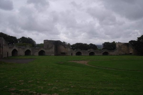 The playing fields 