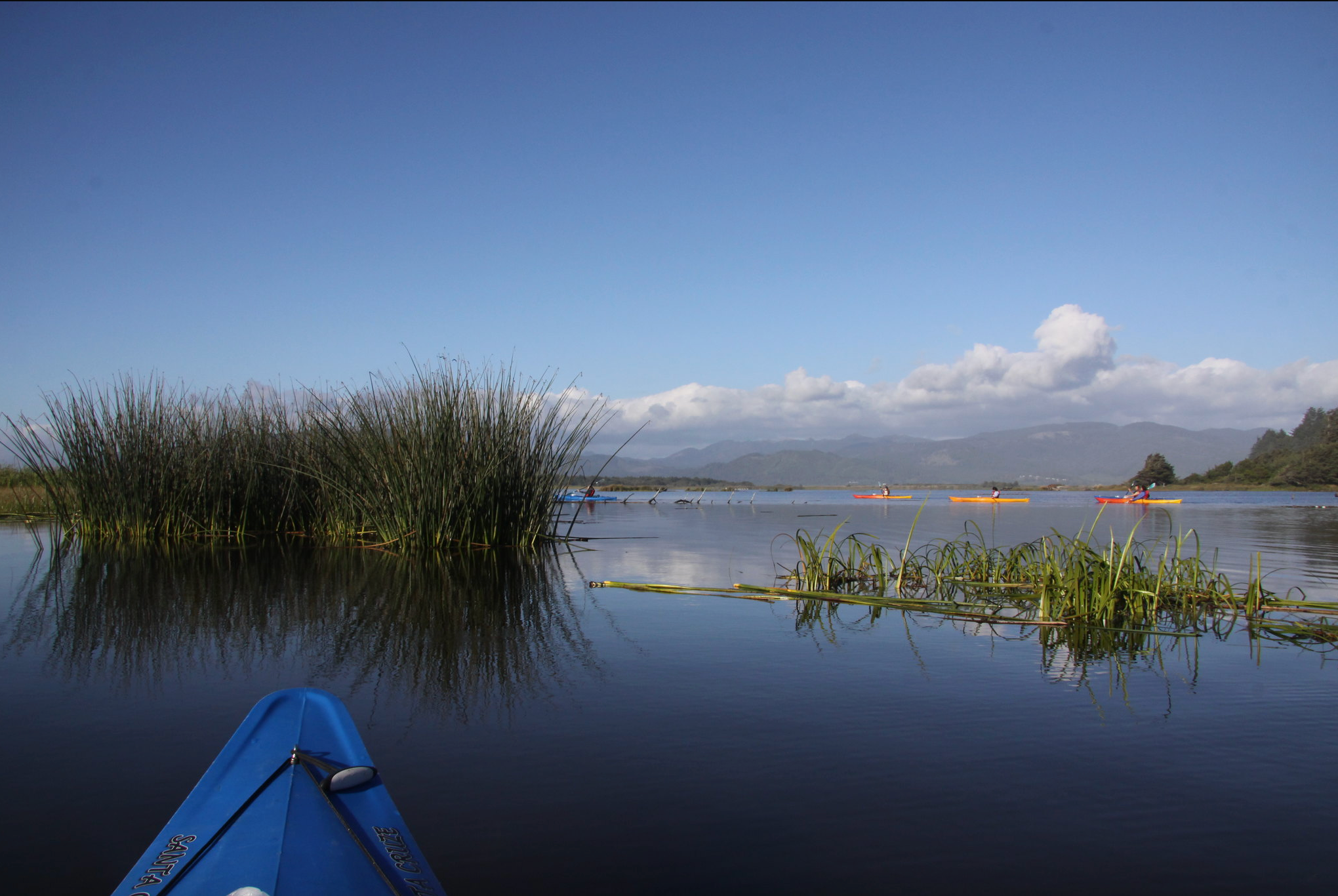 Kayaking backwaters of Tillamook Coast