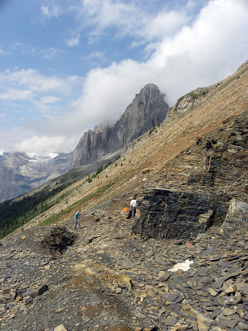 Canada's rugged Burgess Shale is a gold mine for researchers seeking exceptional fossils.
