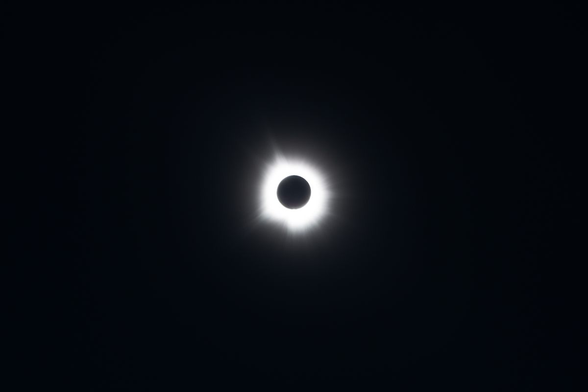 During totality, festivalgoers were able to see the sun's corona, which is visible only when the moon blots out the sun itself during a total solar eclipse.