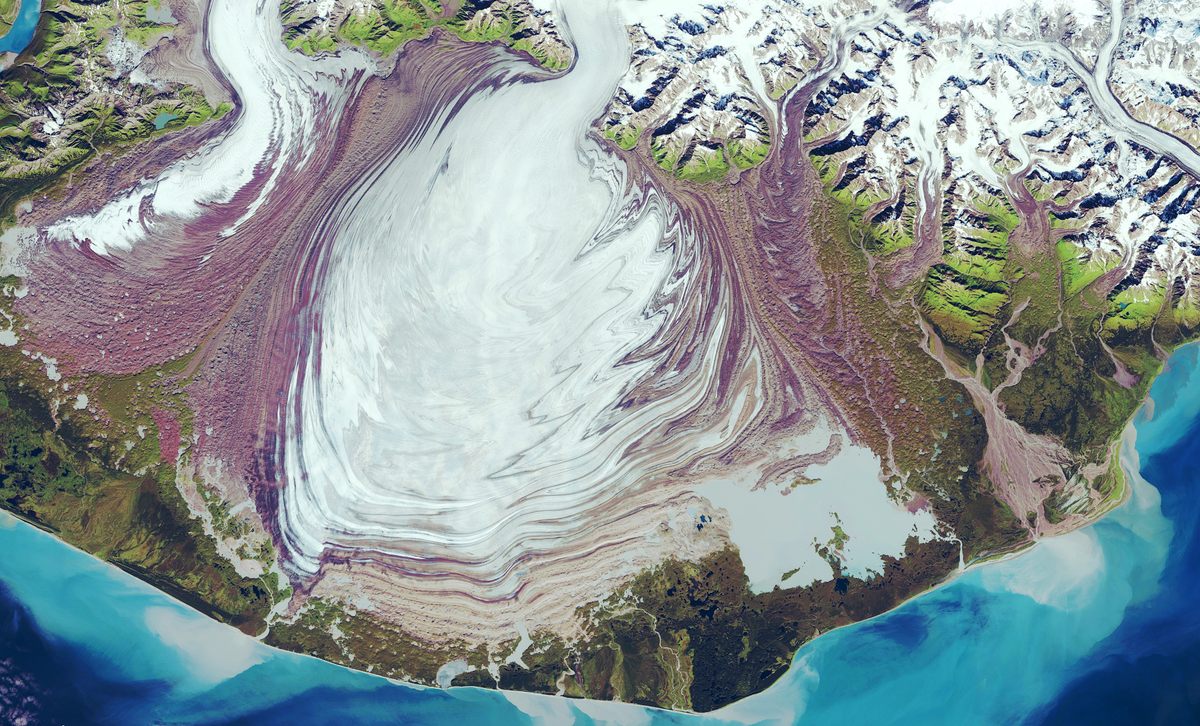 A satellite image acquired in September 2021 shows the central lobe of the Malaspina Glacier rising towards the sea. 