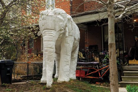 Elephant House