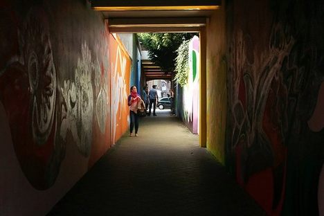 Looking through Tovertunnel