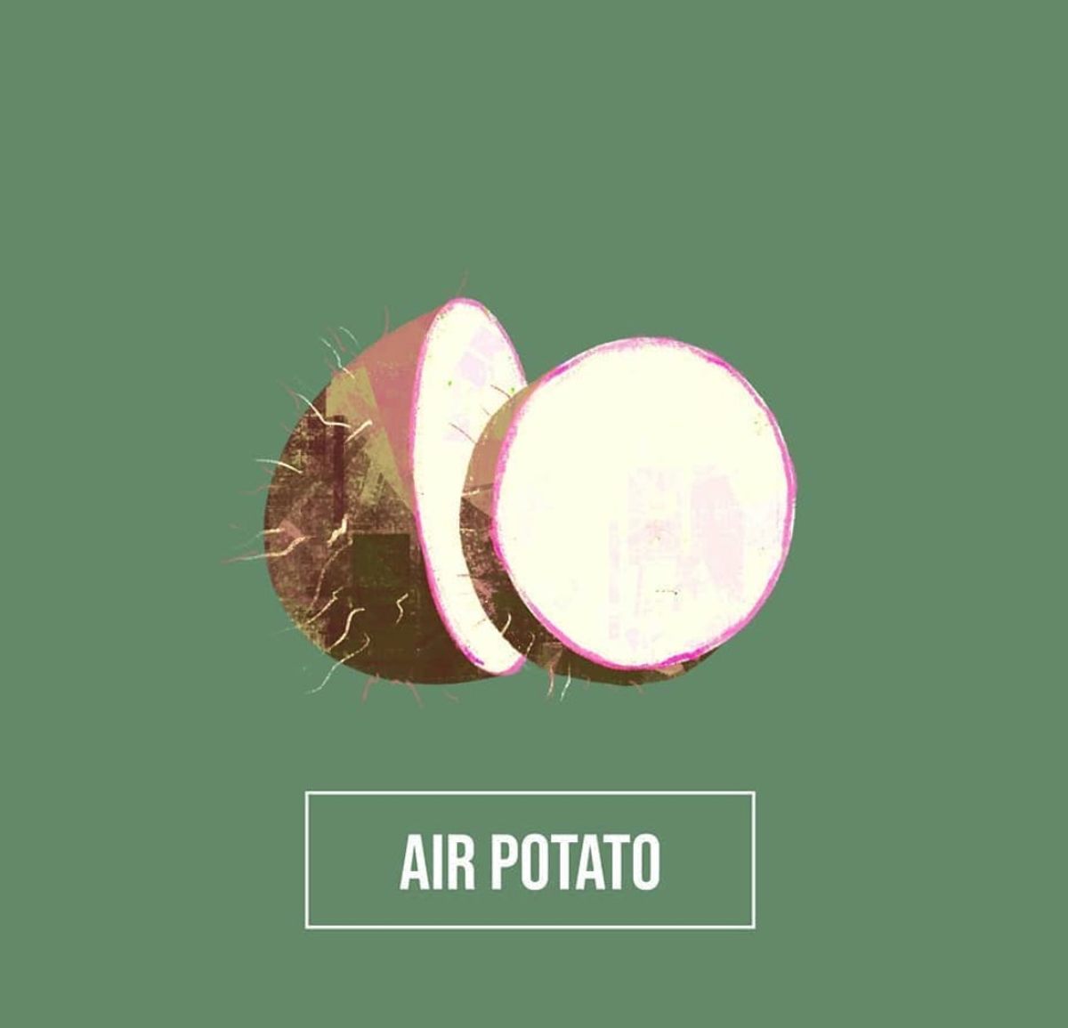 <em>Kaai valli kodi</em>, or air potatoes, are rough-skinned, root-fuzzed yam-cousin with origins in tropical Asia.