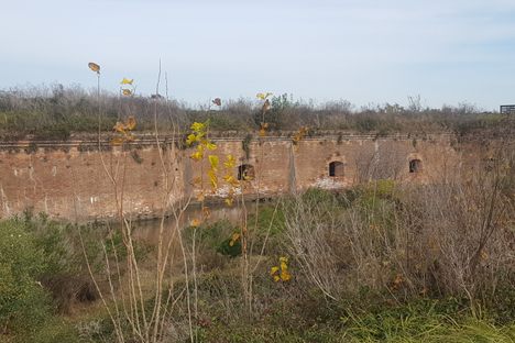 Fort Pike