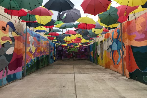 Umbrella Alley
