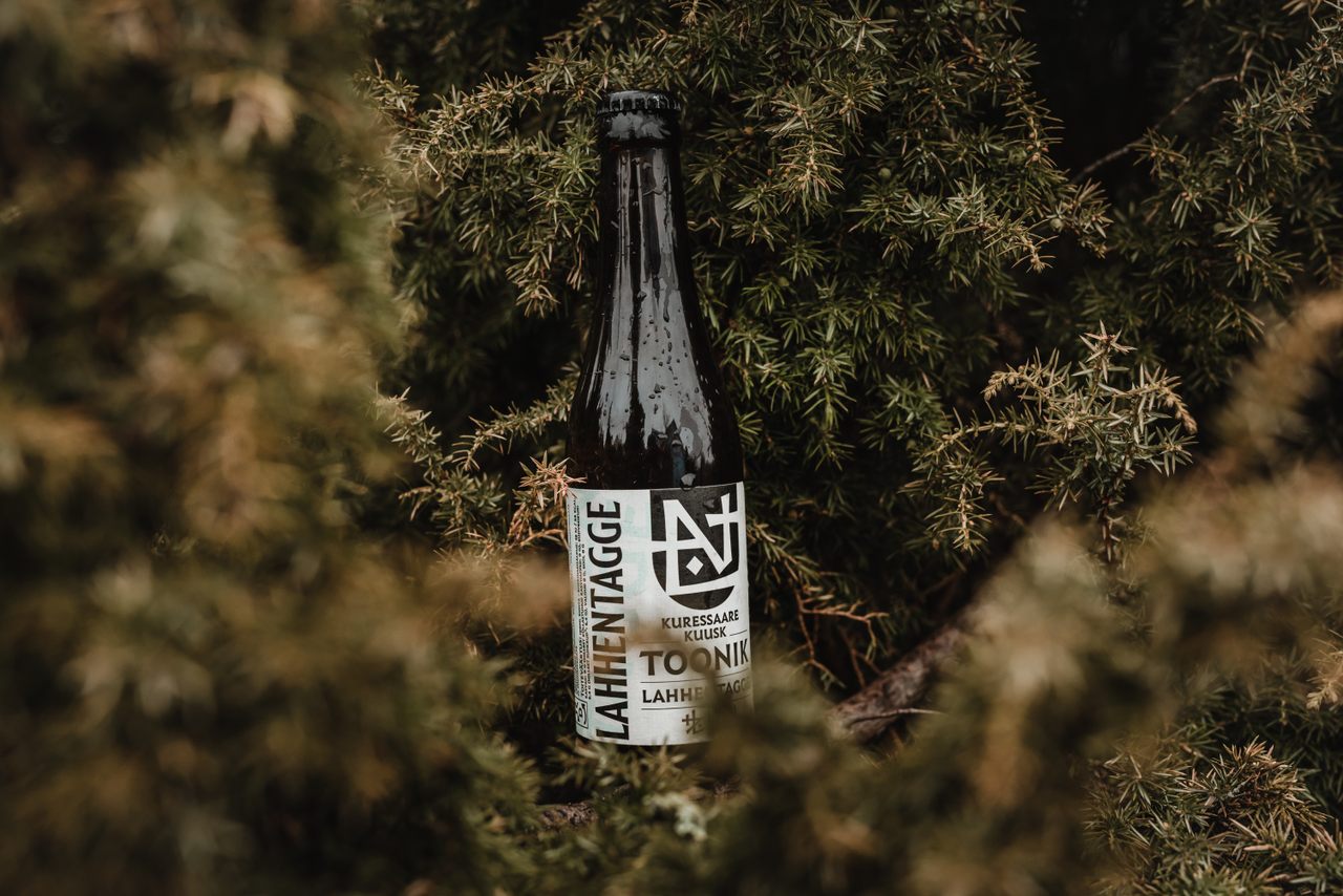 A fir tree–flavored tonic in its natural habitat. 