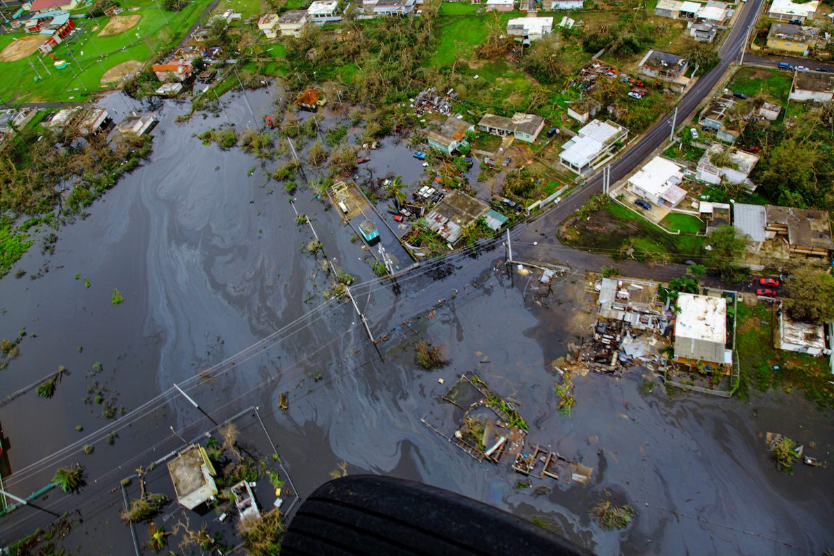In 2017, Hurricane Maria hit Puerto Rico, killing almost 3,000 people and devastating entire towns. The hurricane also destroyed seagrass meadows, reefs, and other important fish habitats, and sent tons of debris into the ocean.