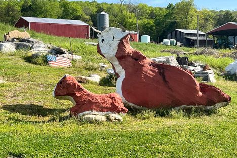 The Rock Zoo