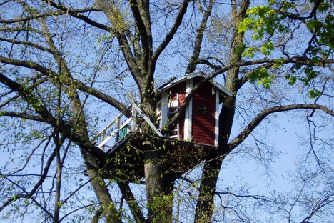 Hotell Hackspett (Woodpecker Hotel)